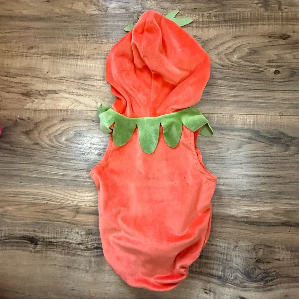 Infant Pumpkin One Piece Costume with Hood Sleeveless Baby Size 3-6 Months